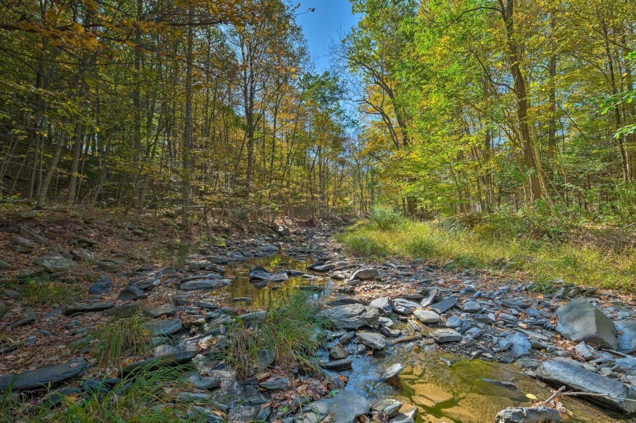 Catskill Mtn Home With Deck About 1 Miles To Zoom Flume! East Durham Ngoại thất bức ảnh